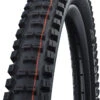 Schwalbe Big Betty Evo Super Ground 20x2,25" Addix Soft E-50 Pneus Pliants