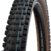 Schwalbe Wicked Will Evo Super Race 29x2,40" Addix SpeedGrip E-50 Pneus Pliants
